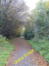 Photo 6x4 Footpath alongside